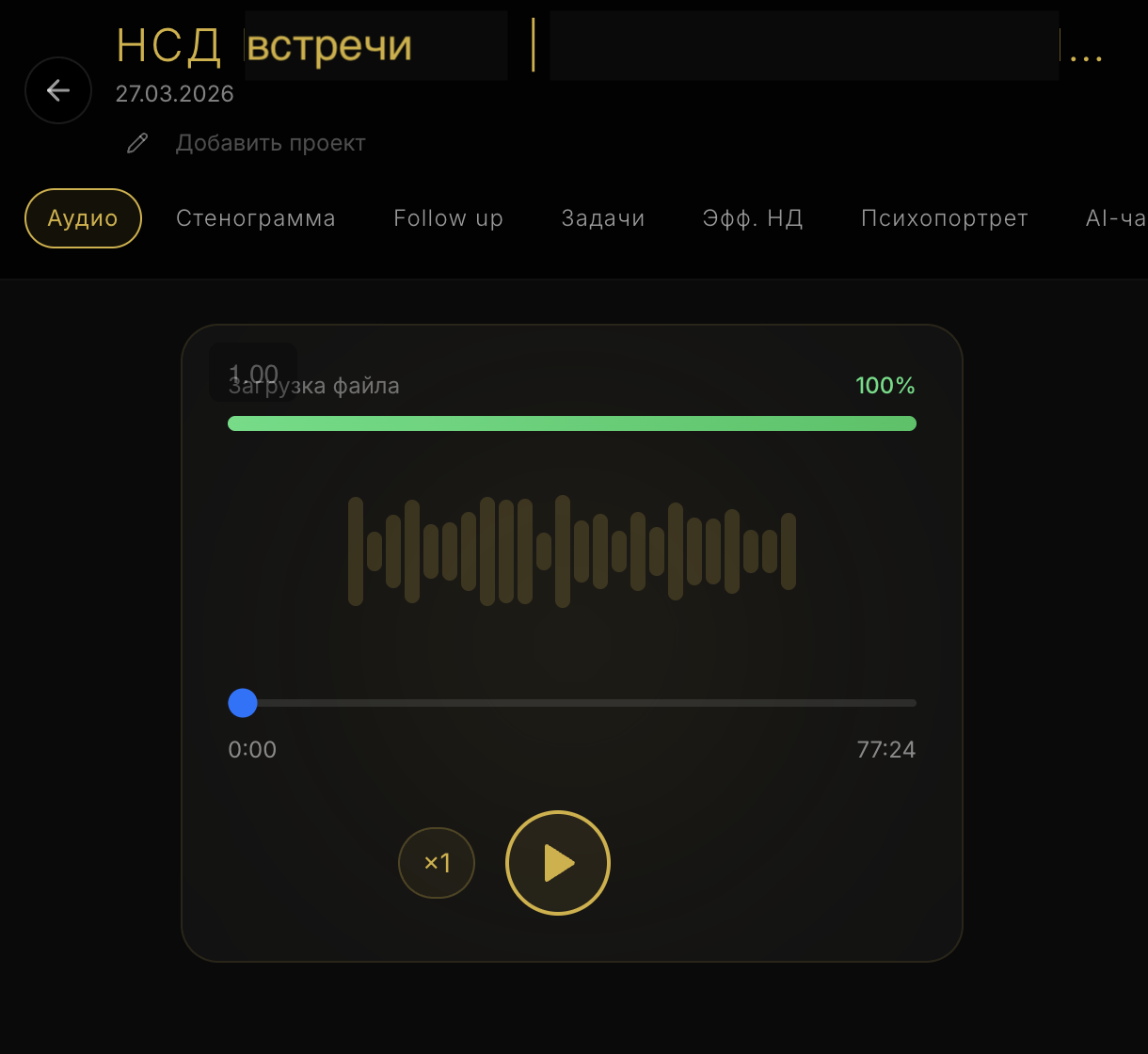 Аудиозапись и стенограмма заседания с атрибуцией по спикерам
